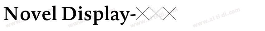 Novel Display字体转换